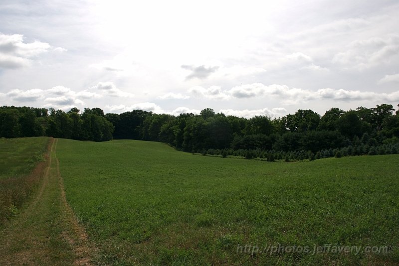 DSC_1186_2.jpg