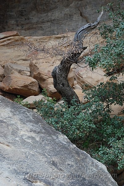 DSC_1731.JPG